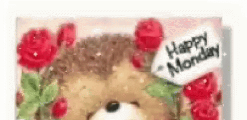 Happy Bear Hello Monday GIF