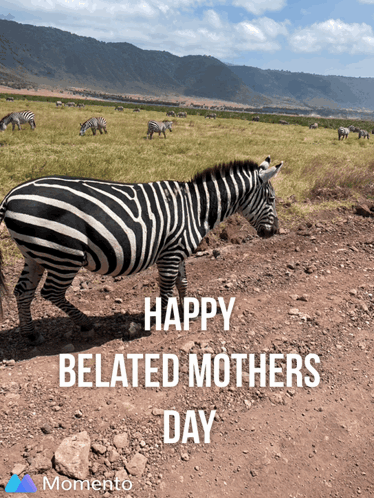 Happy Belated Mother's Day Card with Pink Hearts