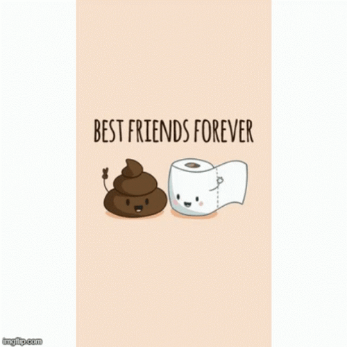 best friends forever best friend forever gif