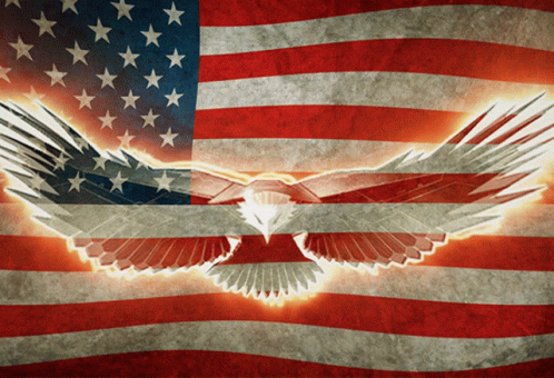 Happy Birthday America Eagle Silhouette GIF