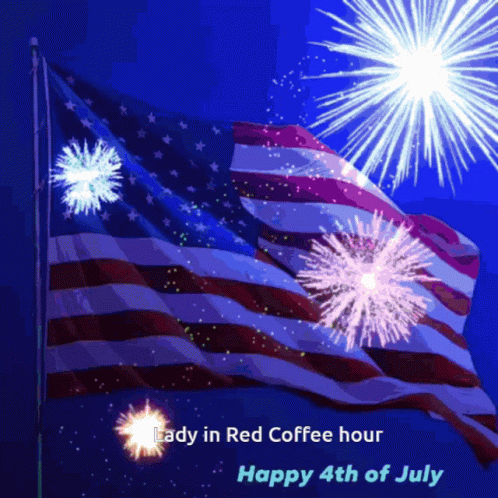 Happy Birthday America Fireworks Display GIF