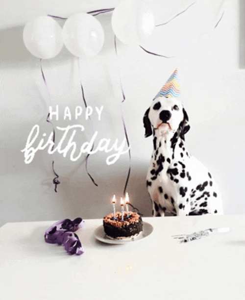 Happy Birthday Animal Dog Dalmatian Cake GIF
