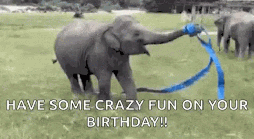 Happy Birthday Animal Elephant Blue Ribbon GIF