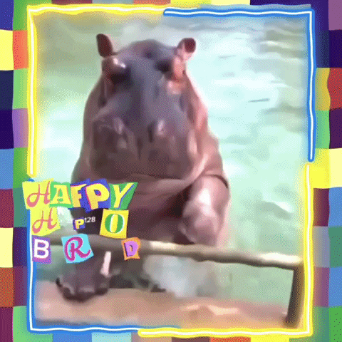 Happy Birthday Animated Adorable Hippo GIF