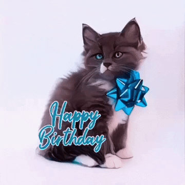 Happy Birthday Animated Black Cat GIF