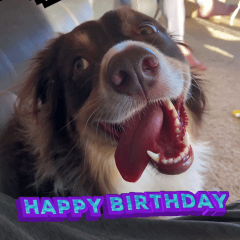 Happy Birthday Animated Cool Shades Pup GIF
