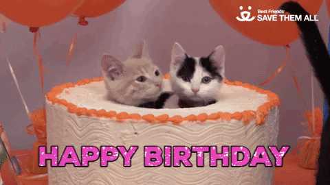Happy Birthday Animated Cute Kitties GIF
