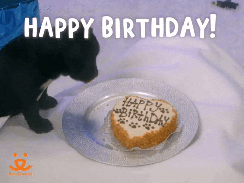 Happy Birthday Animated Gif File 5080kb GIF