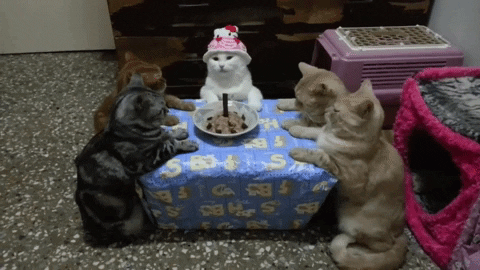 Happy Birthday Animated Gif File 8685kb GIF