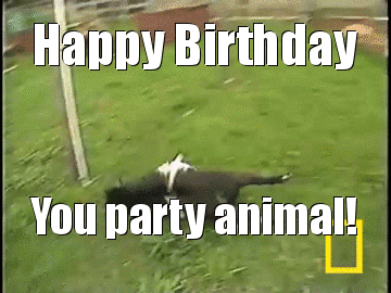 Happy Birthday Animated Party Animal GIF