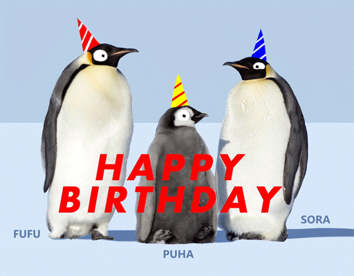 Happy Birthday Animated Penguins Happy Dance GIF