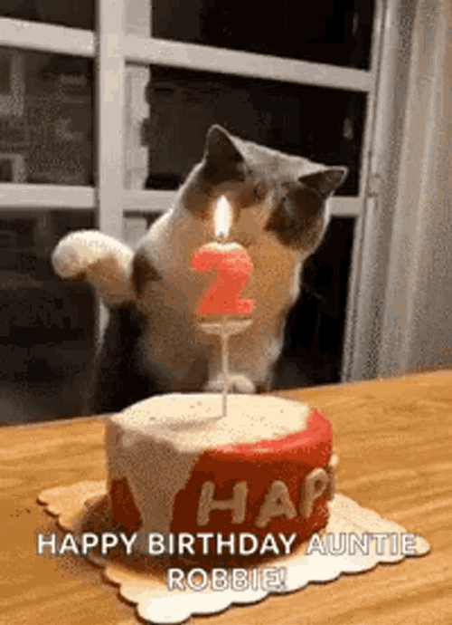Happy Birthday Auntie Cat Candle Cake Meme GIF