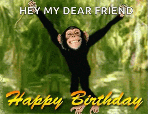 Happy Birthday Bestfriend Monkey Greeting GIF