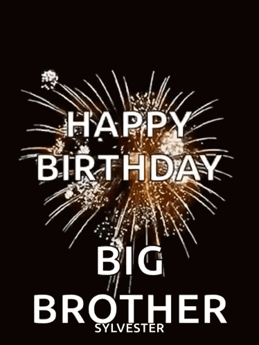 Happy Birthday Big Brother Sylvester With Fireworks In The Background GIF