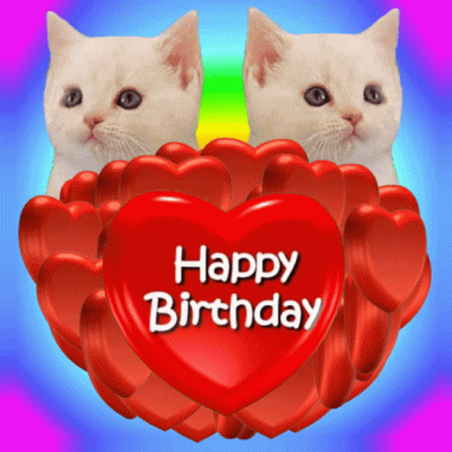 Happy Birthday Birthday Twins White Cat GIF