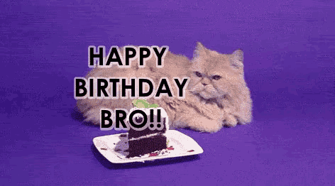 Happy Birthday Brother Funny Sliced Cake GIF