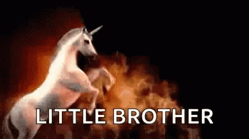 Happy Birthday Brother Funny Unicorn On Fire GIF