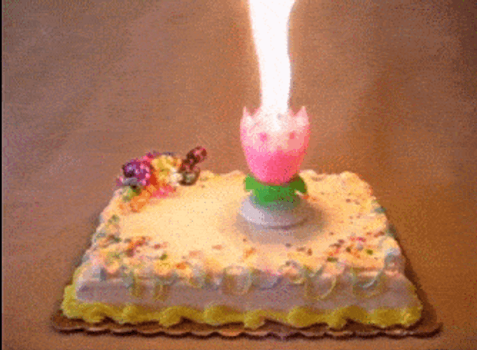 happy birthday flower candle