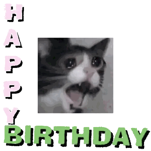 Happy Birthday Card With Cat