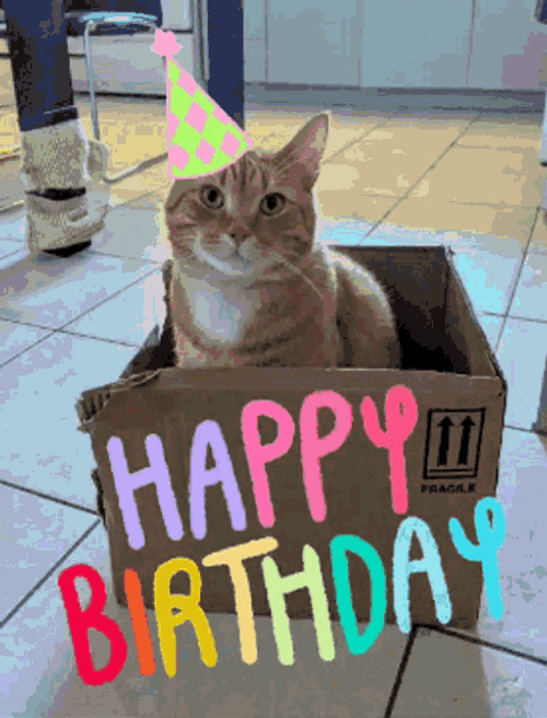 Happy Birthday Cat Box GIF