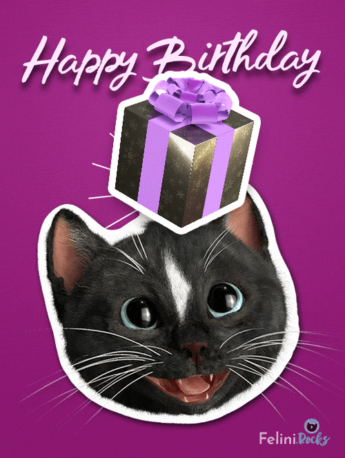 animated cat birthday gif
