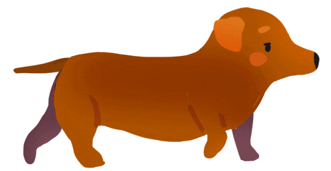 Happy Birthday Dachshund Animated Disappearing Bun GIF