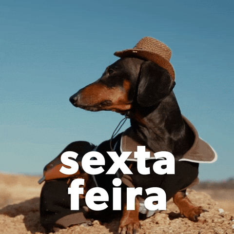 Happy Birthday Dachshund Chillin' Sexta Feira GIF