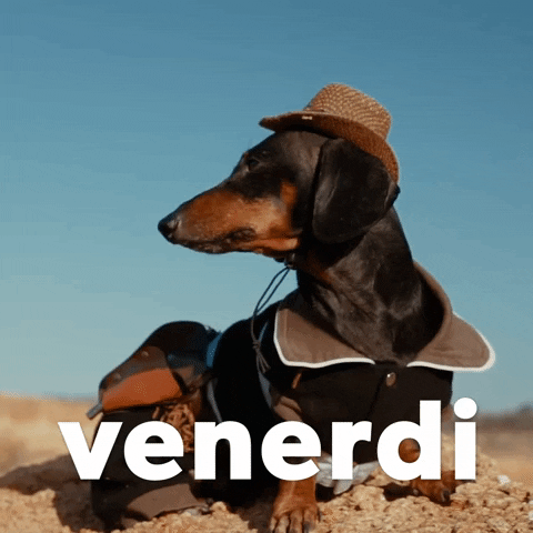 Happy Birthday Dachshund Cowboy Hat Venerdi GIF