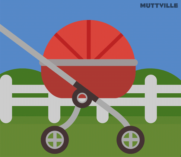 Happy Birthday Dachshund Dog In Stroller GIF