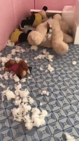 Happy Birthday Dachshund Dog Inside Stuffed Toy GIF