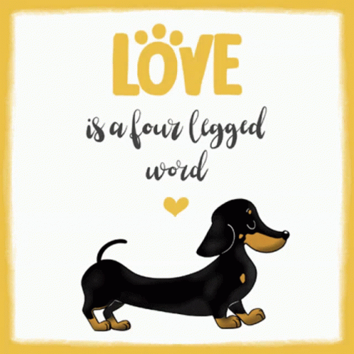 Happy Birthday Dachshund Four Legged Love GIF