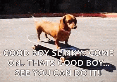 Happy Birthday Dachshund Good Boy Slinky GIF
