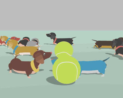 Happy Birthday Dachshund Multiple Dogs Playing GIF