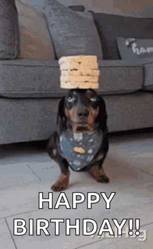 Happy Birthday Dachshund Pancake Balance GIF