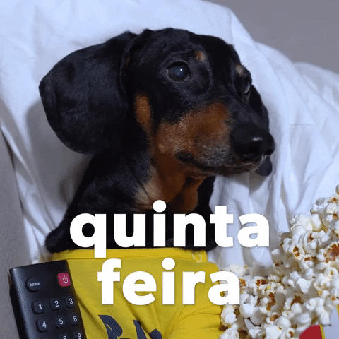 Happy Birthday Dachshund Remote Quinta Feira GIF