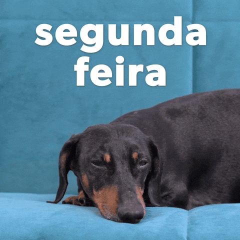 Happy Birthday Dachshund Sleepy Segunda Feira GIF