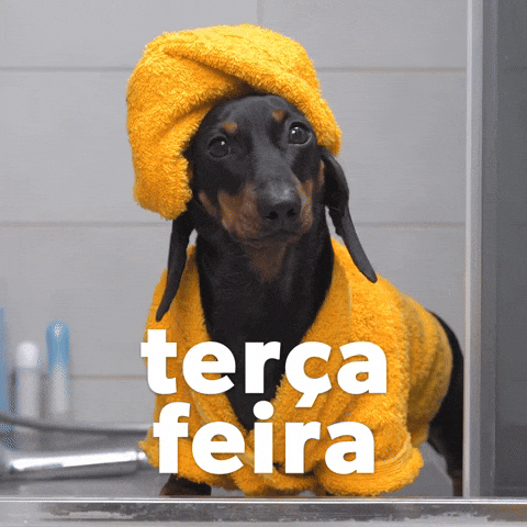 Happy Birthday Dachshund Terca Fiera GIF