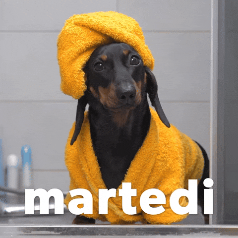 Happy Birthday Dachshund Yellow Outfit Martedi GIF