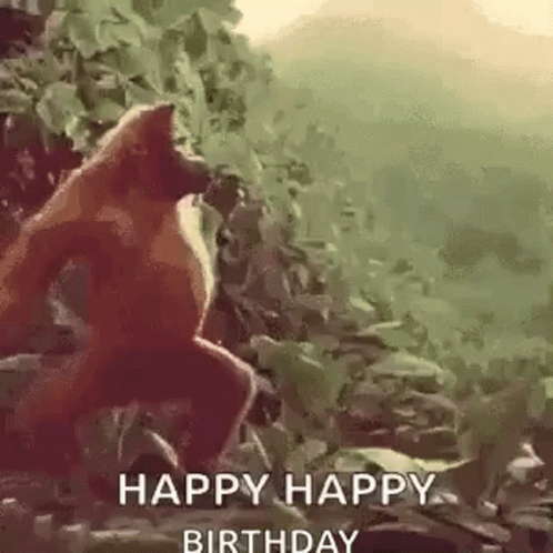 Happy Birthday Dancing Monkey GIF