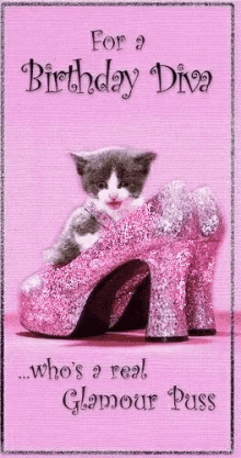 Happy Birthday Diva Real Glamour Puss GIF