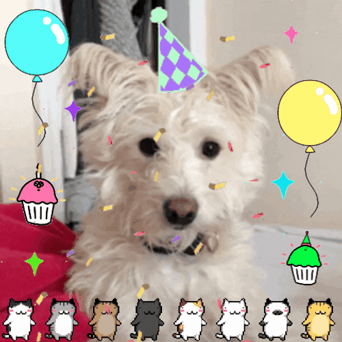 Happy Birthday Dog Dancing Cats Sticker GIF