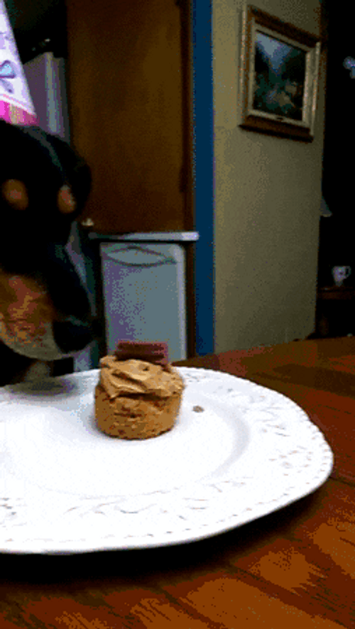Happy Birthday Dog Eating Whole Cupcake GIF