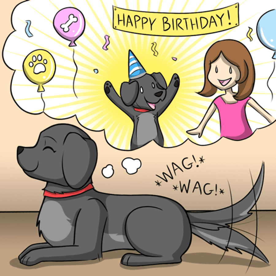 Happy Birthday Dog Memories Animation GIF