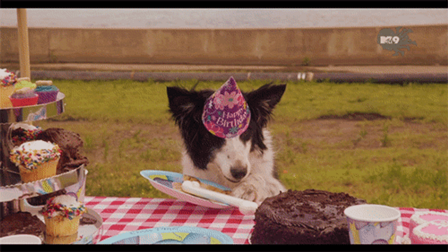 Happy Birthday Dog Moving Paper Plate GIF
