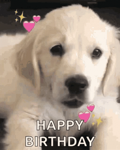 Happy Birthday Dog Sticking Out Tongue GIF