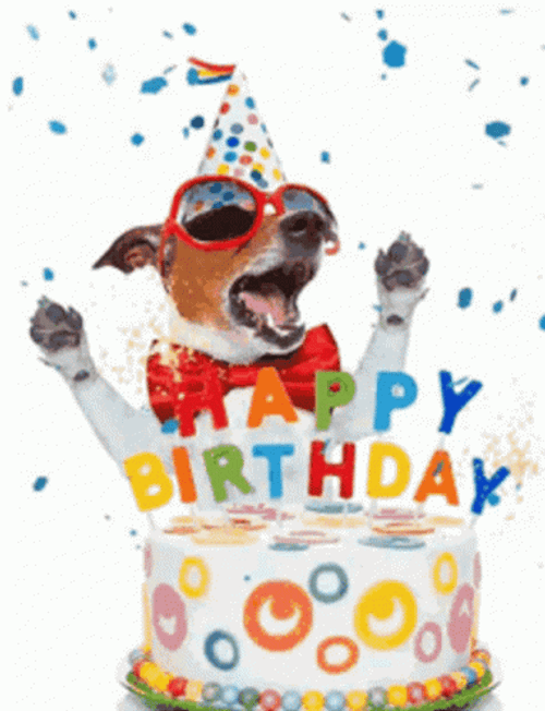 Happy Birthday Dog With Sunglasses GIF