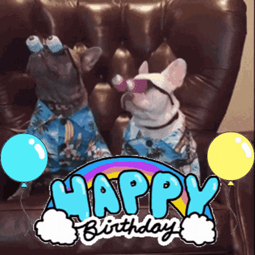 Happy Birthday Dogs Goggly Eyes GIF