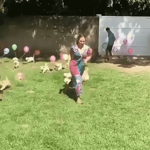 Happy Birthday Dogs Running With Balloons GIF