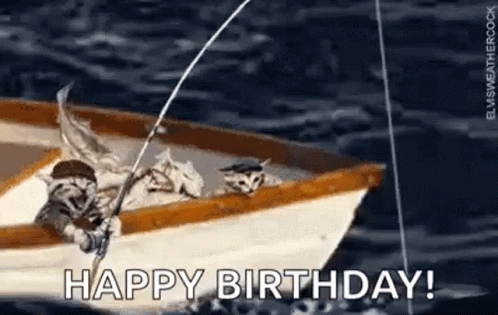 Happy Birthday Fishing Cats On Boat GIF
