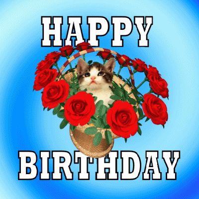 Happy Birthday Flowers Cat Basket GIF